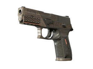 P250 | Bullfrog (Field-Tested)