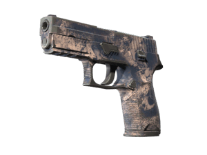 P250 | Drought (Field-Tested)
