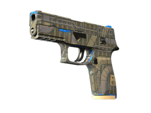 P250 | Exchanger (Minimal Wear)