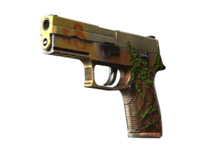 P250 | Inferno (Field-Tested)