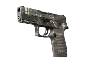 P250 | Re.built (Battle-Scarred)