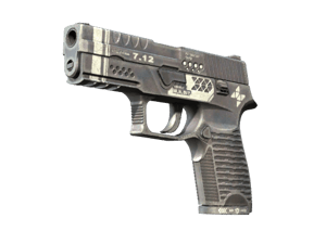P250 | Re.built (Minimal Wear)