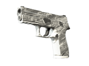 P250 | Sleet (Minimal Wear)