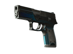StatTrak™ P250 | Valence (Battle-Scarred)