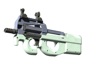 P90 | Storm (Factory New)