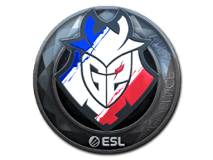 Sticker | G2 Esports (Foil) | Katowice 2019