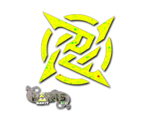 Sticker | Ninjas in Pyjamas (Glitter) | Paris 2023