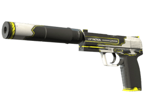 StatTrak™ USP-S | Torque (Minimal Wear)
