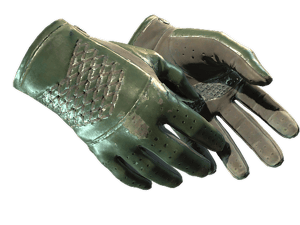 ★ Driver Gloves | Racing Green (Field-Tested)