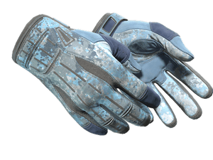 ★ Sport Gloves | Frosty (Well-Worn)