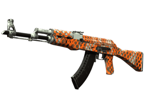 AK-47 | Safety Net