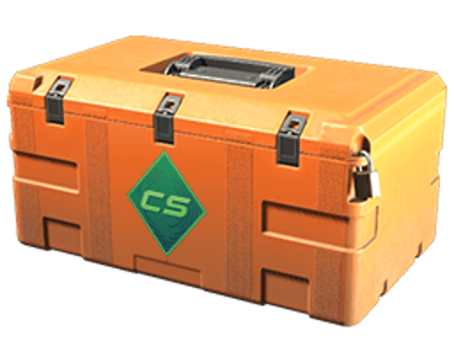 Gallery Case