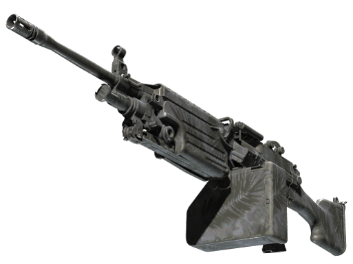 M249 | Midnight Palm
