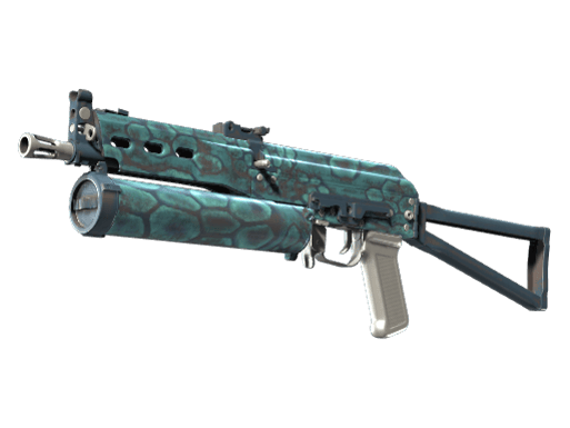 PP-Bizon | Cold Cell
