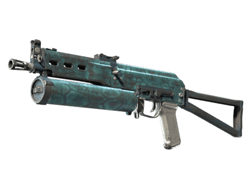 PP-Bizon | Cold Cell