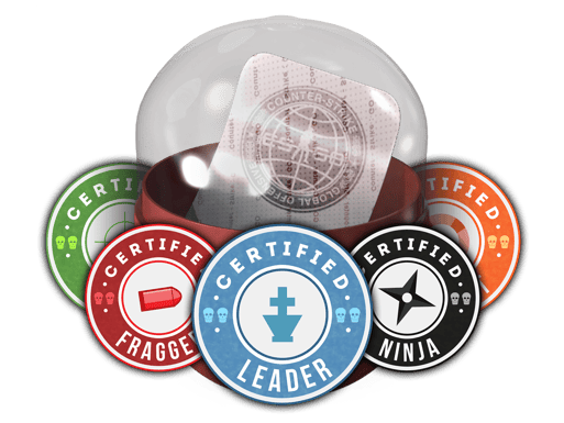Team Roles Capsule