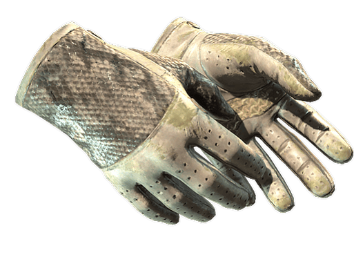 ★ Driver Gloves | King Snake