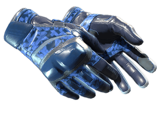★ Moto Gloves | Polygon