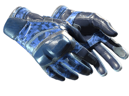 ★ Moto Gloves | Polygon