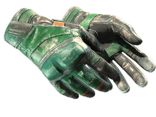 ★ Moto Gloves | Turtle