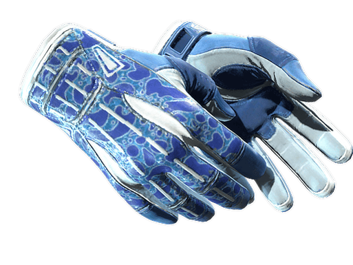 ★ Sport Gloves | Amphibious