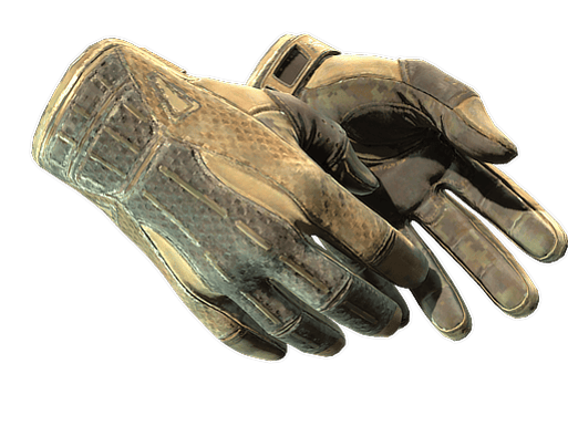 ★ Sport Gloves | Arid