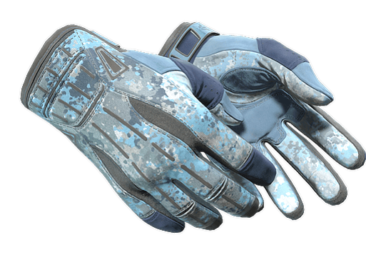 ★ Sport Gloves | Frosty
