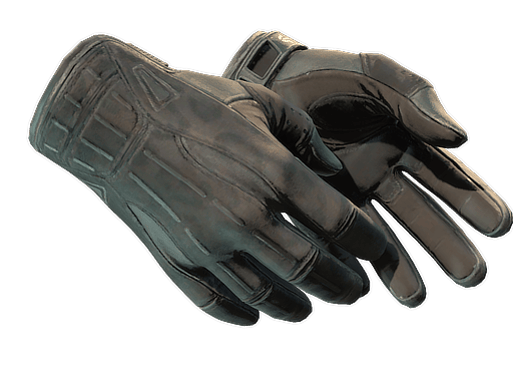 ★ Sport Gloves | Nocts