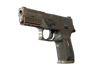 P250 | Bullfrog (Field-Tested)