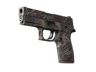 P250 | Facility Draft (Field-Tested)