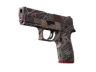 P250 | Facility Draft (Minimal Wear)