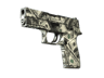 P250 | Franklin (Field-Tested)