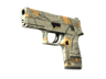 P250 | Modern Hunter (Factory New)