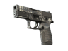 P250 | Re.built (Battle-Scarred)