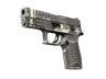 P250 | Re.built (Field-Tested)