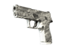 P250 | Sleet (Field-Tested)
