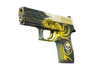 P250 | Wingshot (Battle-Scarred)