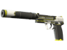 USP-S | Torque (Factory New)