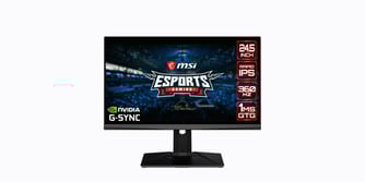 MSI Oculux NXG253R Review