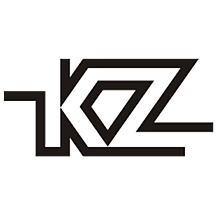 KZ Earphones