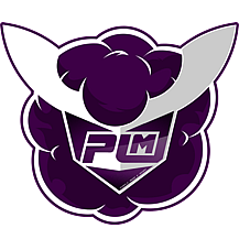 PLM