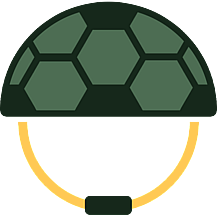 Turtle Troop