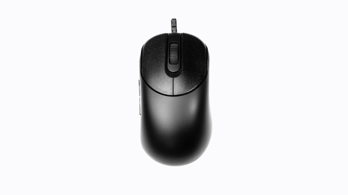 VAXEE ZYGEN NP-01 Review - ProSettings.net