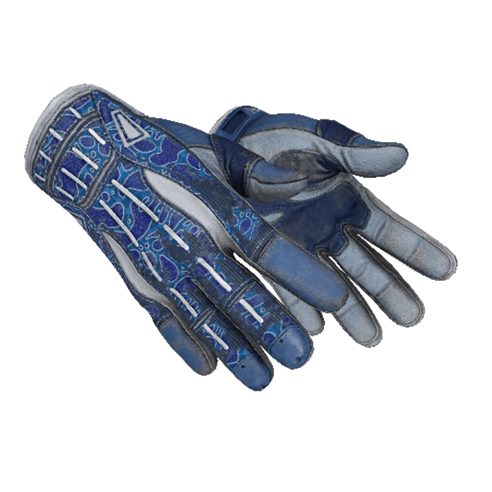 ★ Sport Gloves | Amphibious (Well-Worn)