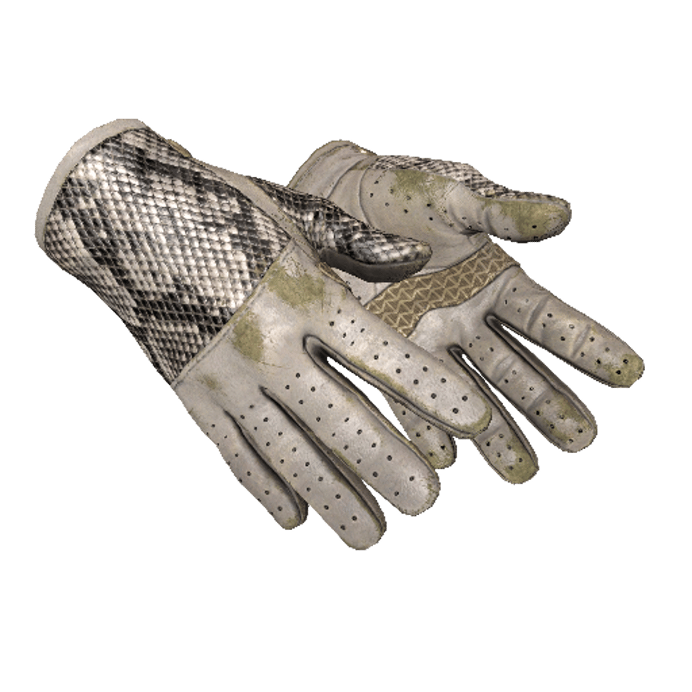 ★ Driver Gloves | King Snake (Field-Tested)