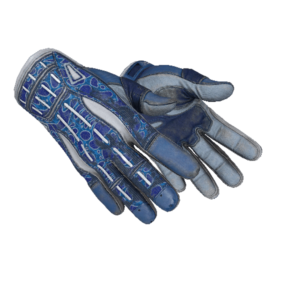 ★ Sport Gloves | Amphibious (Field-Tested)