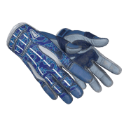 ★ Sport Gloves | Amphibious (Minimal Wear)