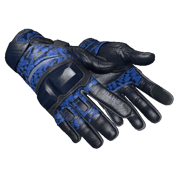 ★ Moto Gloves | Polygon (Field-Tested)