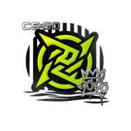 Sticker | Ninjas in Pyjamas (Foil) | 2020 RMR