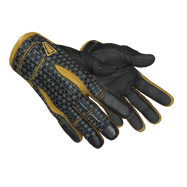 ★ Sport Gloves | Omega (Field-Tested)